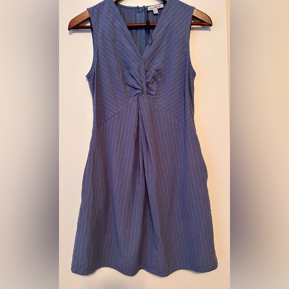 Blue Sleeveless Dress with Pinstripes and Pockets